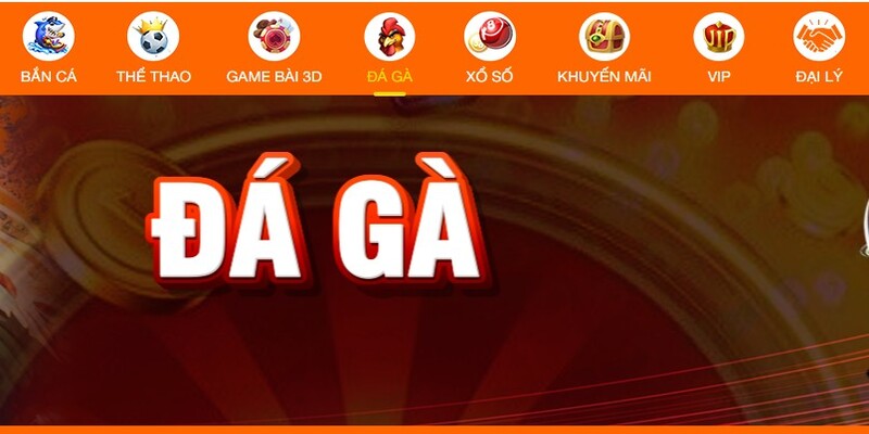 Đá Gà GK88 - Đấu Trường Sôi Động, Căng Thẳng Và Kịch Tính 4 Hướng dẫn các bước tham gia chơi đá gà GK88 trực tuyến
