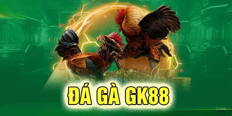 Đá Gà GK88 - Đấu Trường Sôi Động, Căng Thẳng Và Kịch Tính 2 Giới thiệu chung thông tin về chuyên mục đá gà GK88