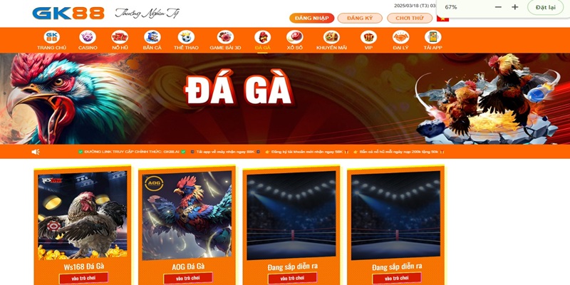 Đá Gà Trực Tiếp GK88 - Đặt Cược An Toàn, Nhận Thưởng Hậu Hĩnh 2 Đôi nét về đá gà trực tiếp tại GK88