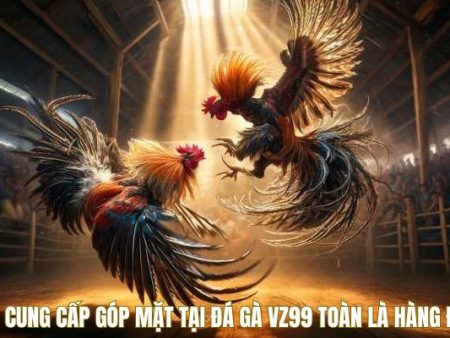 Đá Gà VZ99 – Trận Nào Cũng Cháy, Kèo Nào Cũng Nét Căng