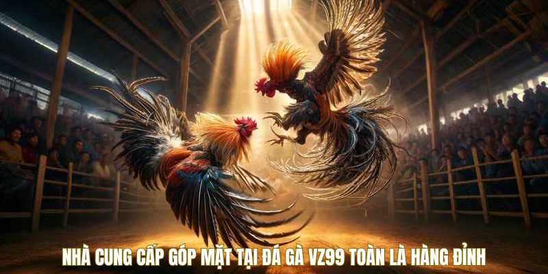 nha-cung-cap-da-ga-vz99