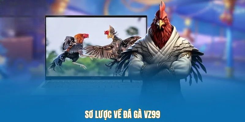 so-luoc-da-ga-vz99