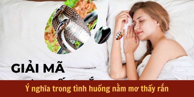 Ý nghĩa phong thủy trong việc nằm mơ thấy rắn