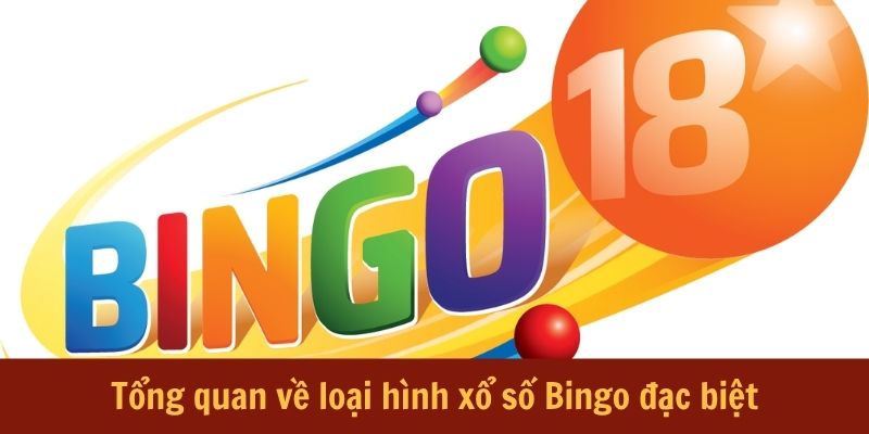 Tổng quan về loại hình xổ số Bingo đặc biệt